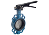Butterfly Valves, Aignep Infinty