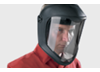Pulsafe Face Protection